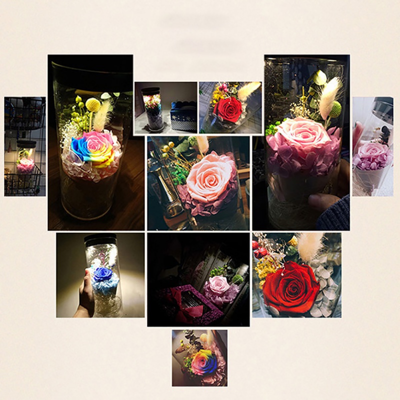 

Eternal Flower Creative Gift Valentine's Day Gift Light Touch Night Light Christmas Fresh Rose Preserved Flower, Xoi0405g
