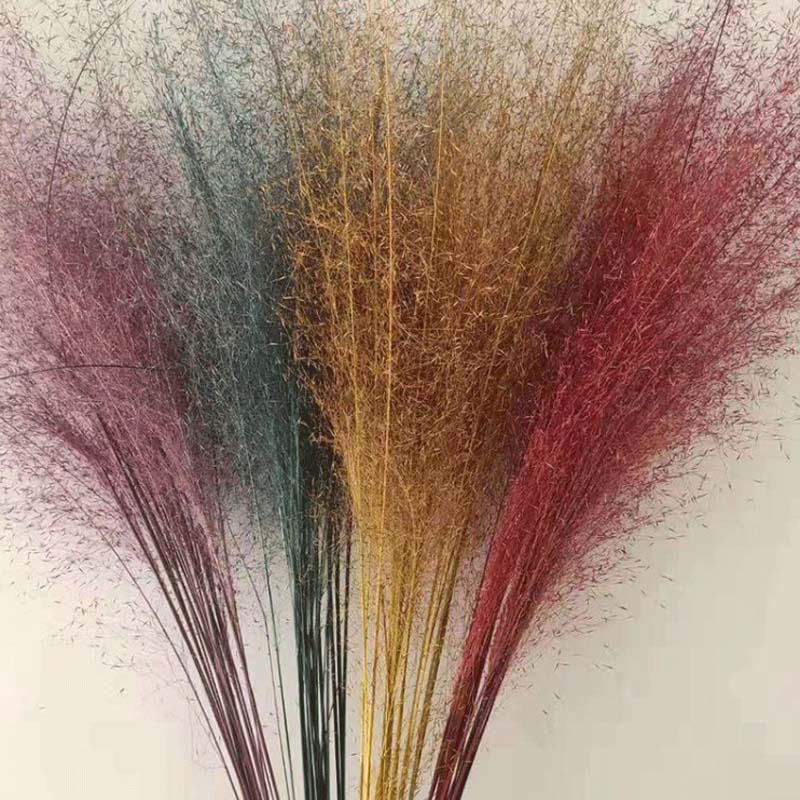

Immortal flower arrangement material, grass, Millie grass flowers, dried flowers bouquet, dried flower arrangement, vase bouquet
