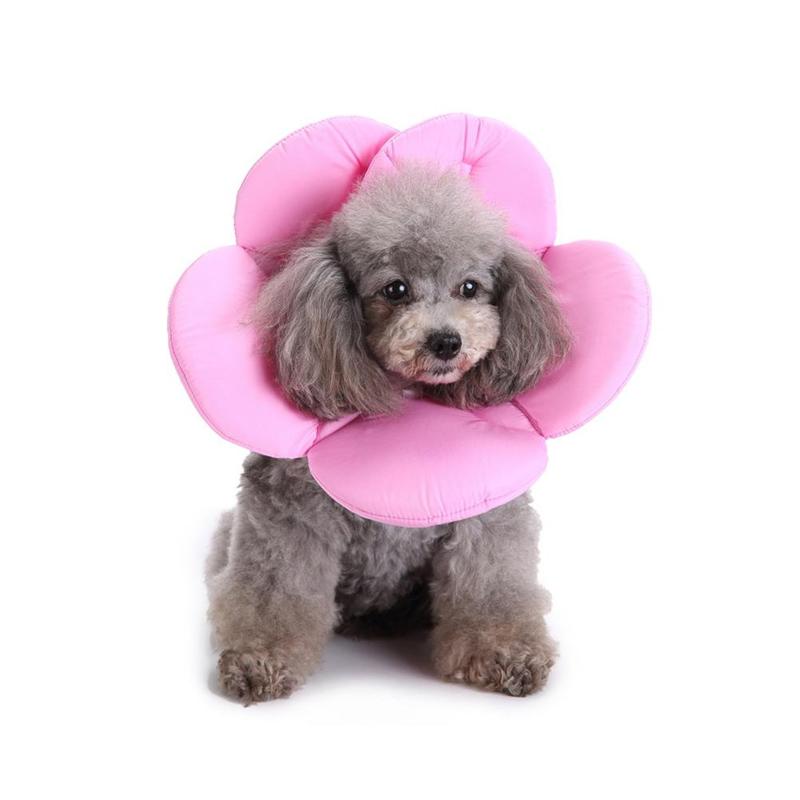 

1pc Flower Shape Elizabethan Collar Pet Cats Dogs Postoperative Recovery Protection Cone Collars Cat Dog Neck Cover Accessories