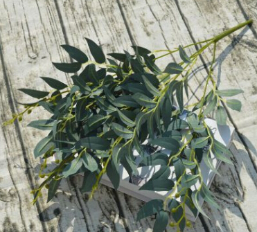 Gray Green