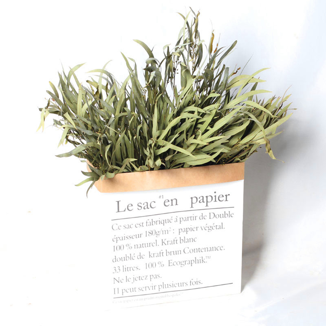 

1 Bunch Eucalyptus Leaves Willow Dry Flower Bouquet Office Home Decoration Flower Material Handmade DIY Accessories, Milky white