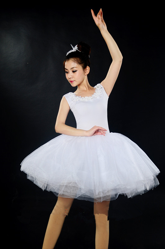 

New professional ballet skirt adult fluffy tulle skirt TUTU autumn and winter practice clothes white swan lake children's