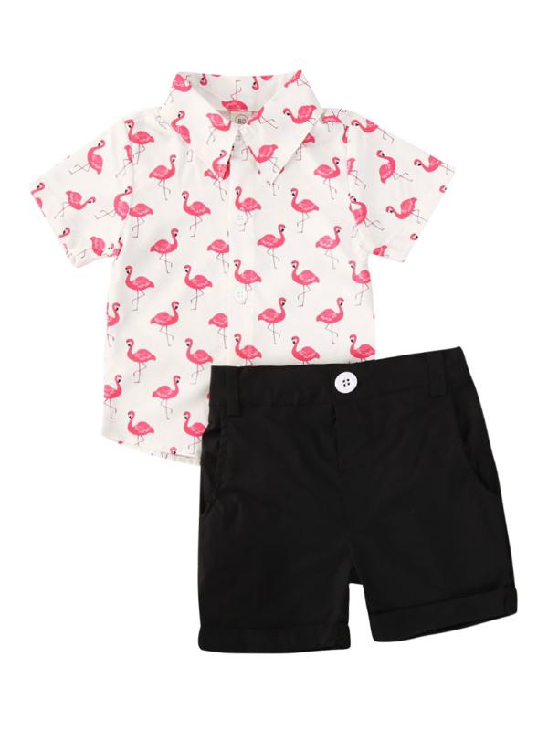 

2020 Summer Newborn Infant Baby Boys 2Piece Outfit Set Flamingo Printed Short Sleeve Button Down Top Shirts Short Pants Set 1-5T, Black