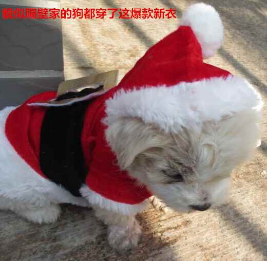 

XXS small dog Christmas clothes pet hooded clothes fleece apparel costume cute coat dog Cosplay Pet Party clothing for dog