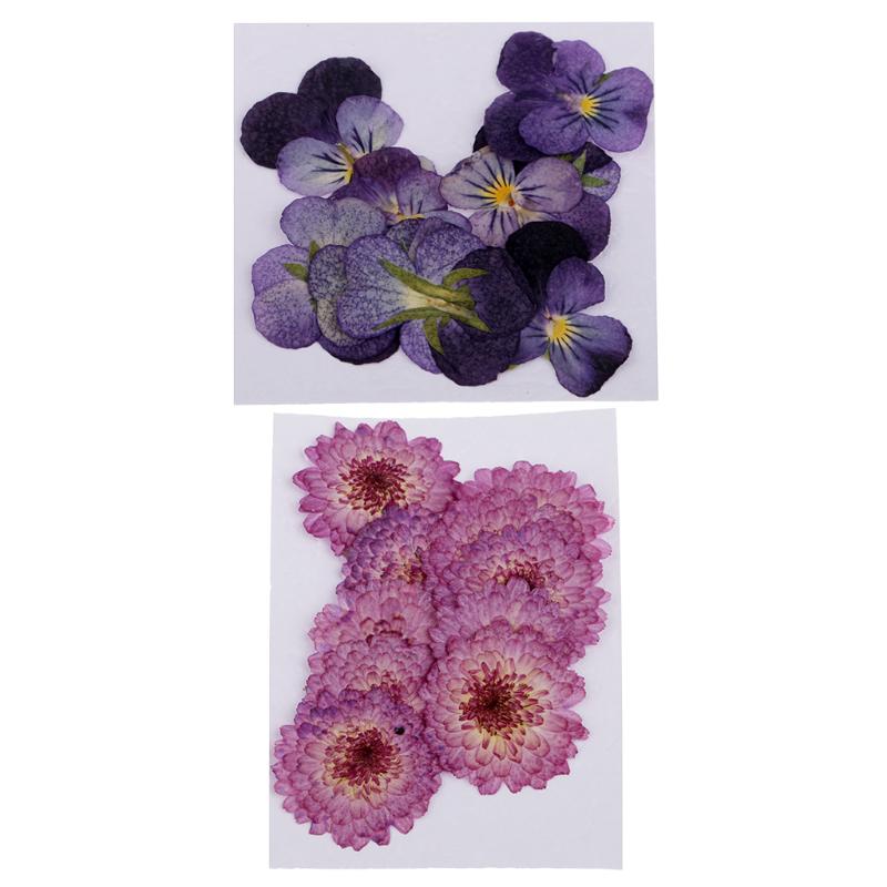 

22pcs Pressed Real Daisy Pansy Dried Flowers DIY Floral Decor Embellishment, As pic