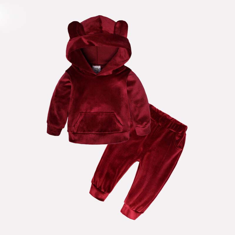 2020 Baby Spring Autumn Clothing 2pcs Toddler Boy Girl Winter Clothes Velvet Hooded Tops+Pants Warm Long Sleeve Outfits Set 1-5T-image-558565376