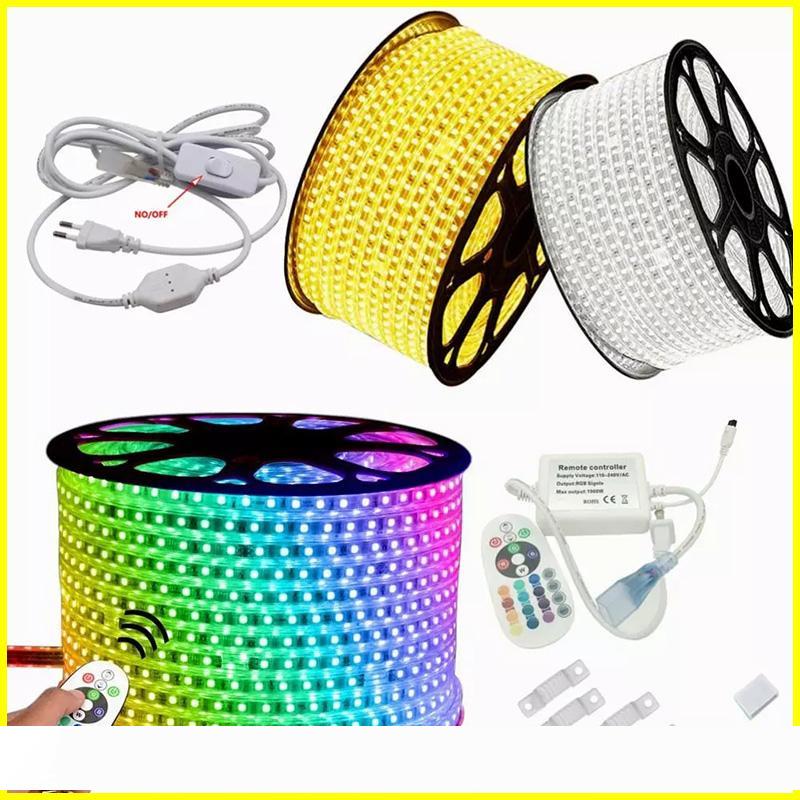 

110V 220V Dimmable Led Strips 10M 50M 100M High Voltage SMD 5050 RGB Led Strips Waterproof+IR Remote Control + Power Supply Christmas Lights