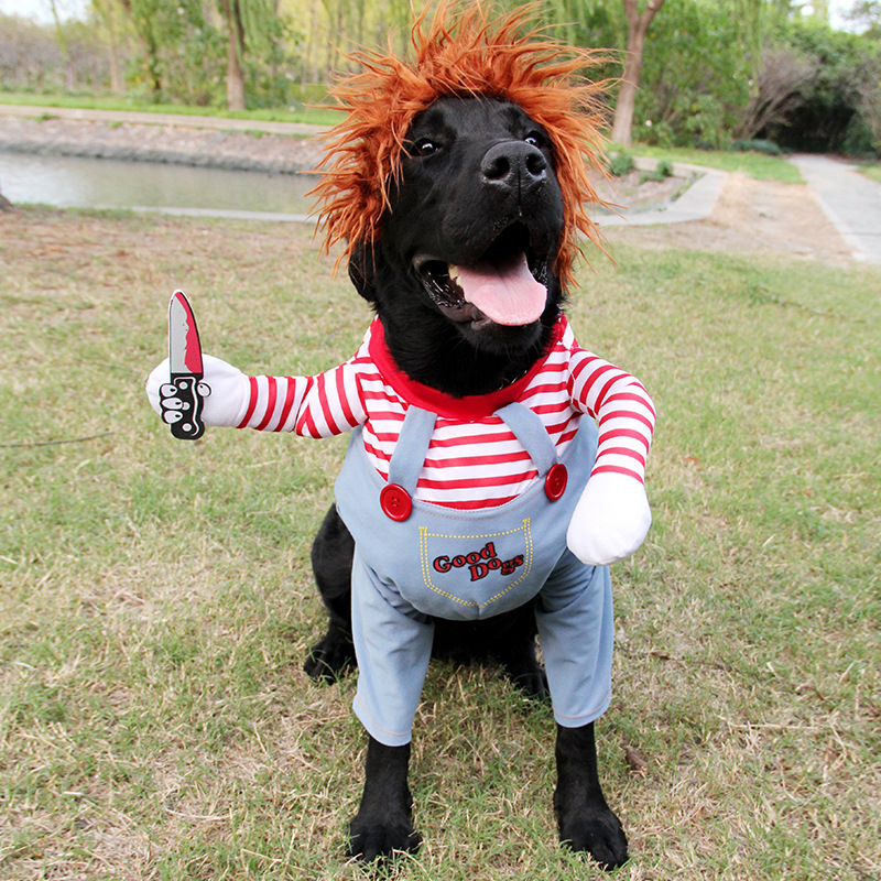 funny dog clothes