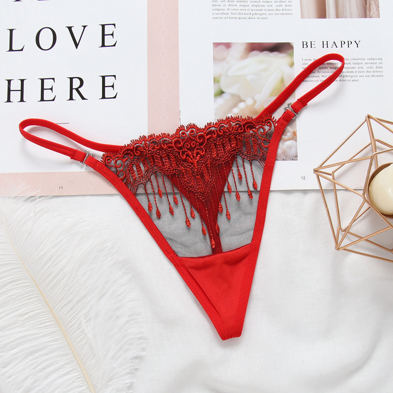 

L'bellagiovanna women lace panties sexy underwear g-stings embroidery mesh young girls bragas transparent Calcinha XXS-XL 2153, White 2153
