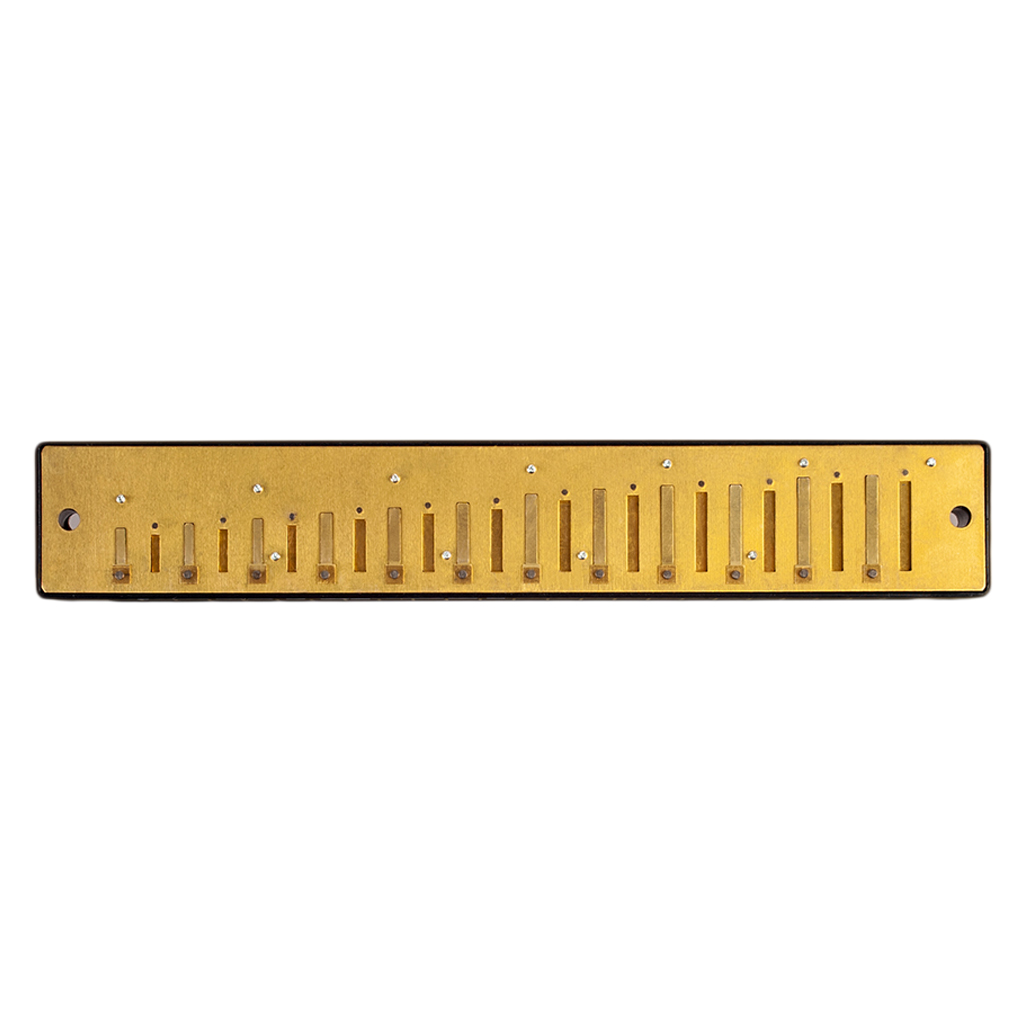 

24 Holes Harmonica Comb with Reeds Set C Key for Students Adults Music Lovers