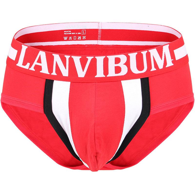 

DEWVKV 2019 New Sexy Men' Underwear Briefs Breathable Men Panties Cotton Male Underpant Briefs 6 Colors Man Underwear LXD, Black
