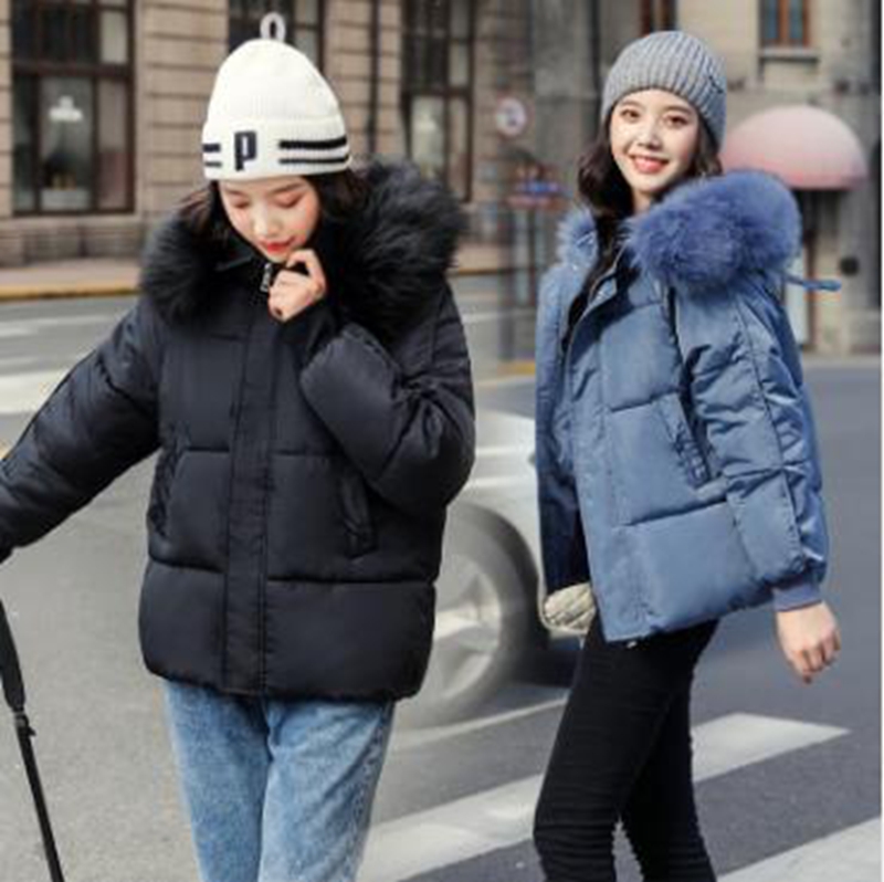 

Wholesale new women's clothing new thick bread clothing slimming thin student down padded jacket, Blue
