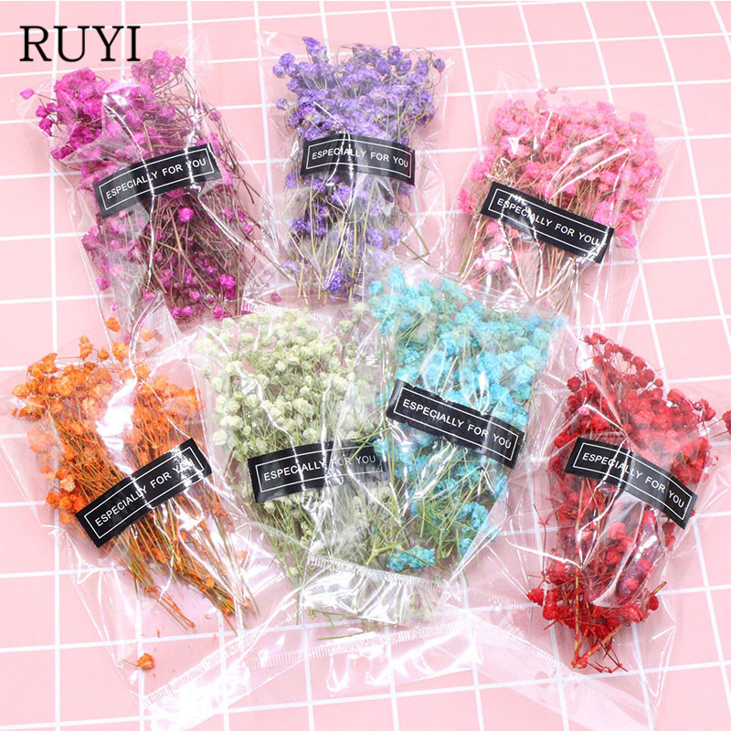 

Mini Garden Micro Landscape Accessories Natural dried flowers dried gypsophila Garden home decoration wall DIY Flower material, Blue