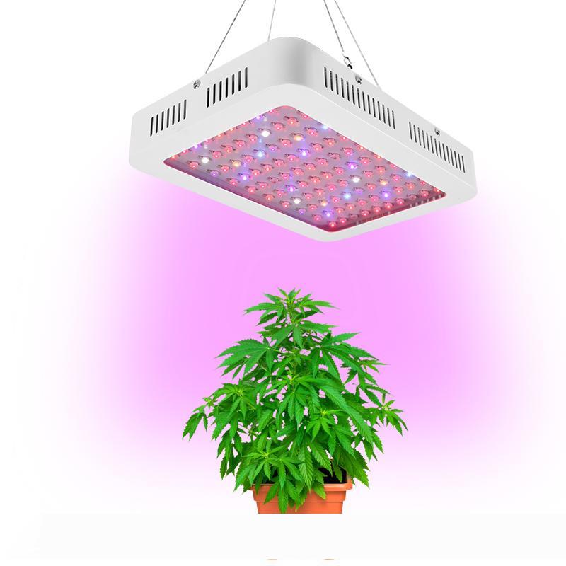 

All Saints' Day Led Grow Light 1000W Full Spectrum Led Grow Tent Covered Green houses Lamp Plant Grow Lamp for Veg Flowering