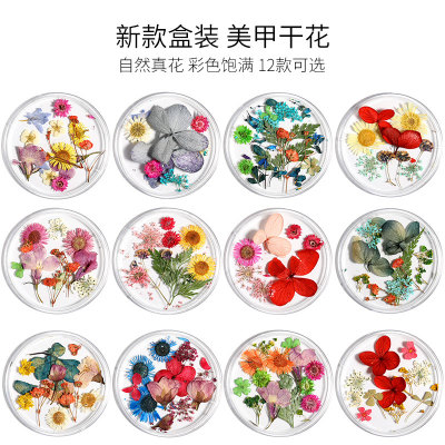 

Mix Dried Flowers Nail Decorations Jewelry Natural Floral Leaf Stickers 3D Nail Art Designs Polish Manicure Accessories makeup, Beige