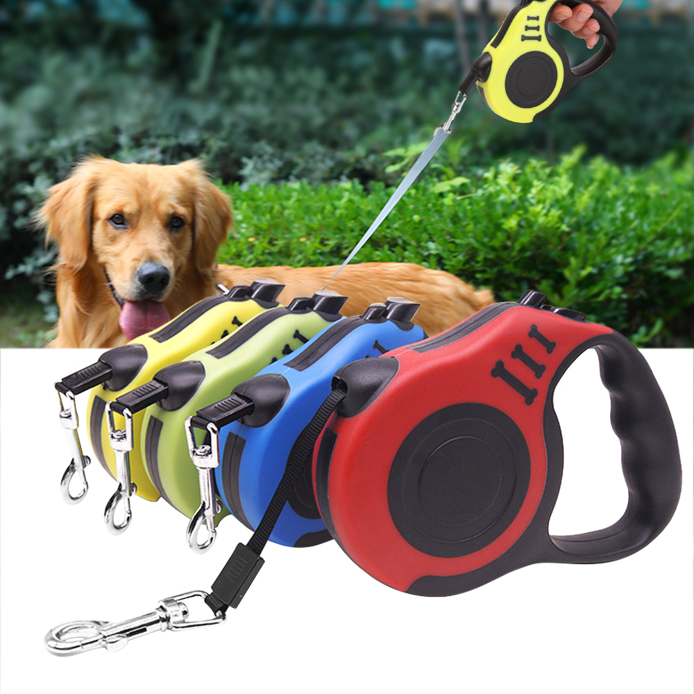 small dog extending leads