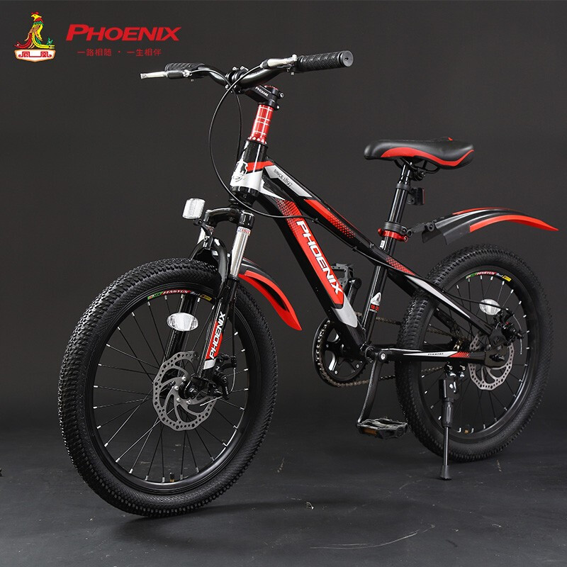 10 speed bike for sale