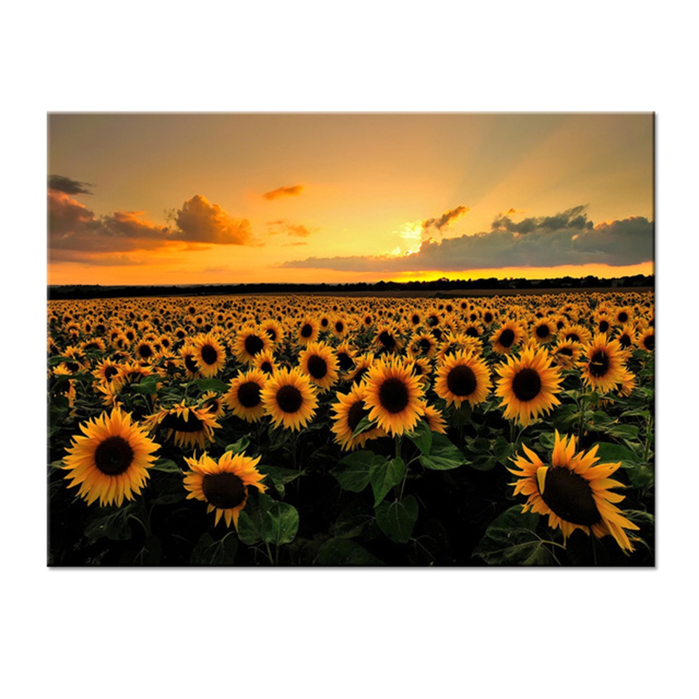 Wall art decoration set of 5 pieces PVC//Canvas Sunflowers field