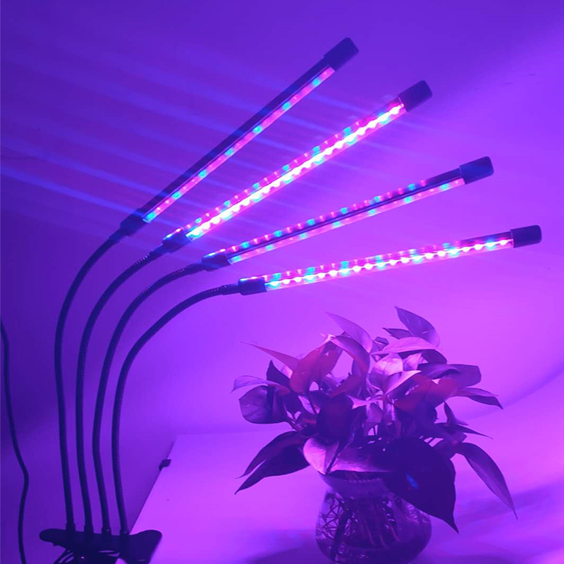 

Plant growth lights, plant lights,R+B plant lights.Dyeing lamp