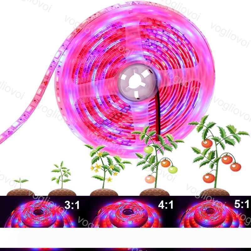 

Grow Lights Full Spectrum LED Strip Lights 5M Roll 300 LEDs 5050 Chip Fitolampy Waterproof For Indoor Greenhouse Hydroponic Plant EUB