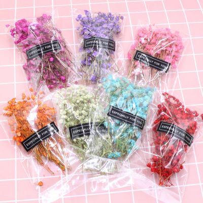 

Immortl flower material household flower arrangement small package Manchu star immortal gift box glass cover production, Beige