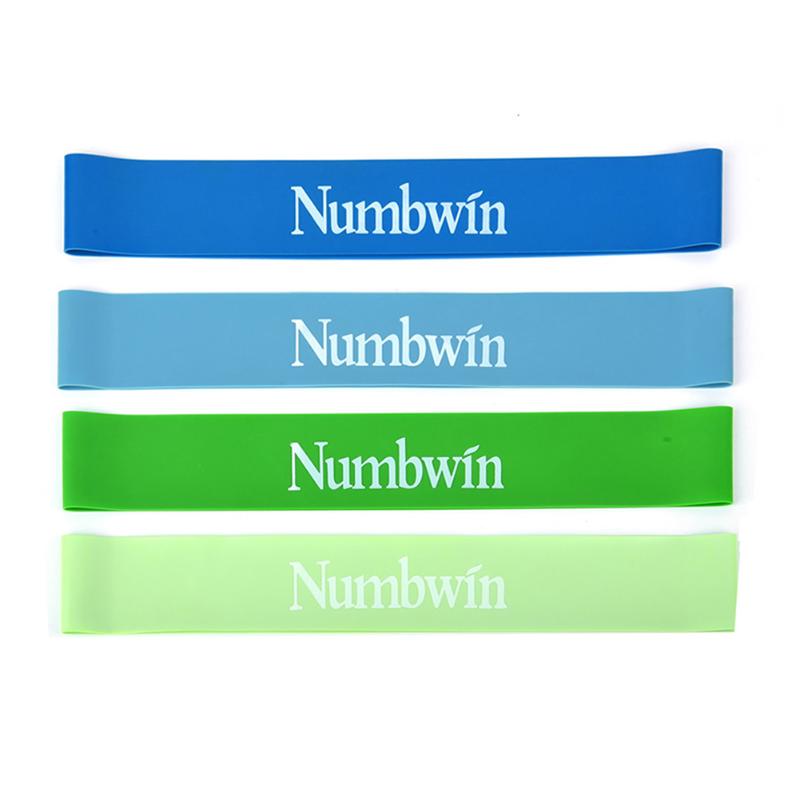 

4pcs Yoga Pilates Hip Lift Pull Rope Exercise Squats Training Resistance Band Multi-function Equipment for Exercise, As pic