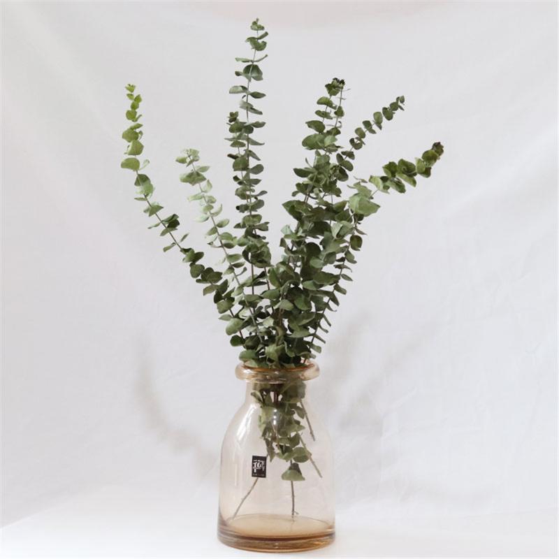 

10 Stems per Bouquet Dried Natural Eucalyptus Branches Leaves Flower Arrangement Decor, 10 pcs color