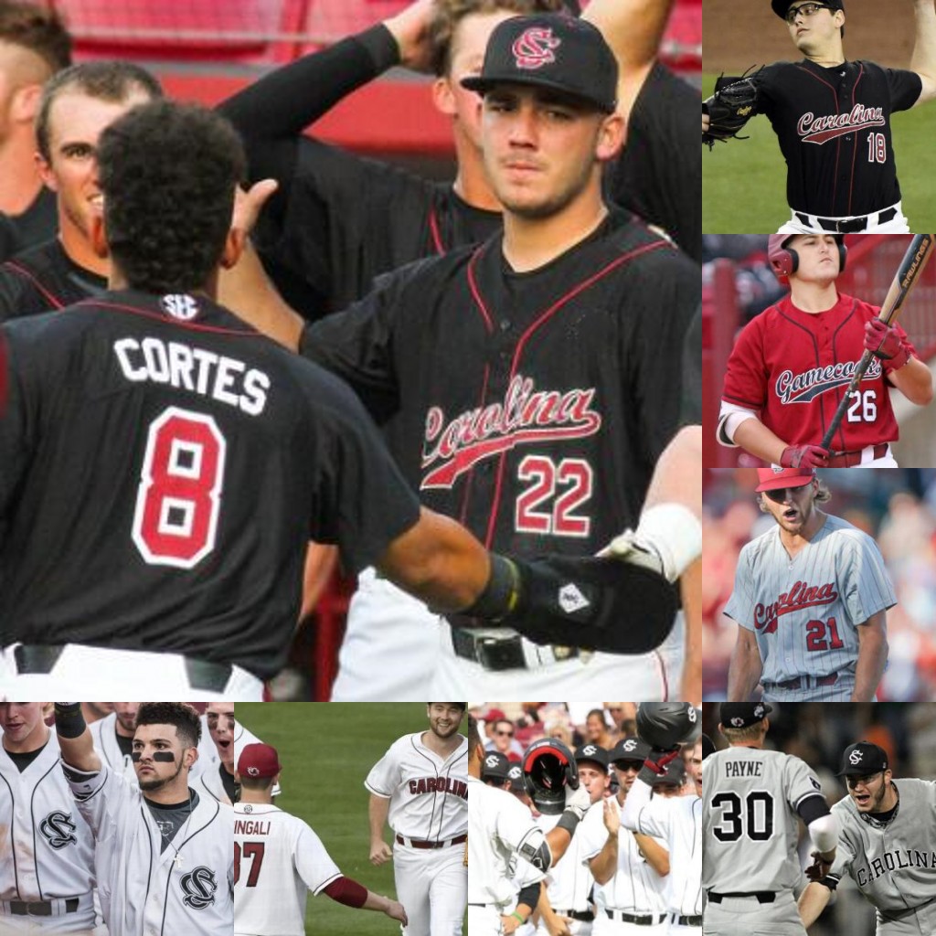 

Custom South Carolina Baseball stitched Jersey mens women youth any name number 49 Brett Kerry Cam Tringali Reid Morgan Jacob Olson, White stripe