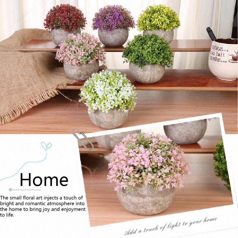 Download Flower Indoor Bonsai Plant Gallery