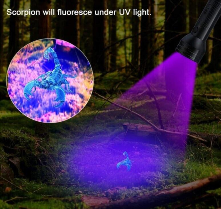 

Uv 51Led Flashlight 51 Leds 395nm Ultra Violet Torch Light Lamp Blacklight Detector for Dog Urine Pet Stains and Bed Bug