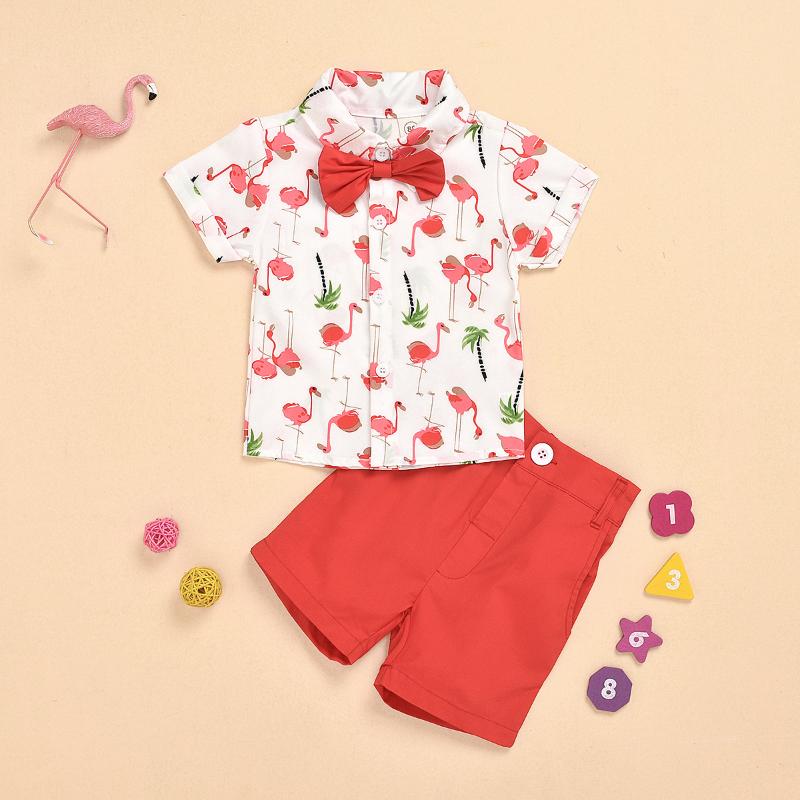 

Fashion Boys Clothing Summer Boy Set Children Suit Flamingo Print Boy Shirt + Shorts 2PCS Kids Sets, Red
