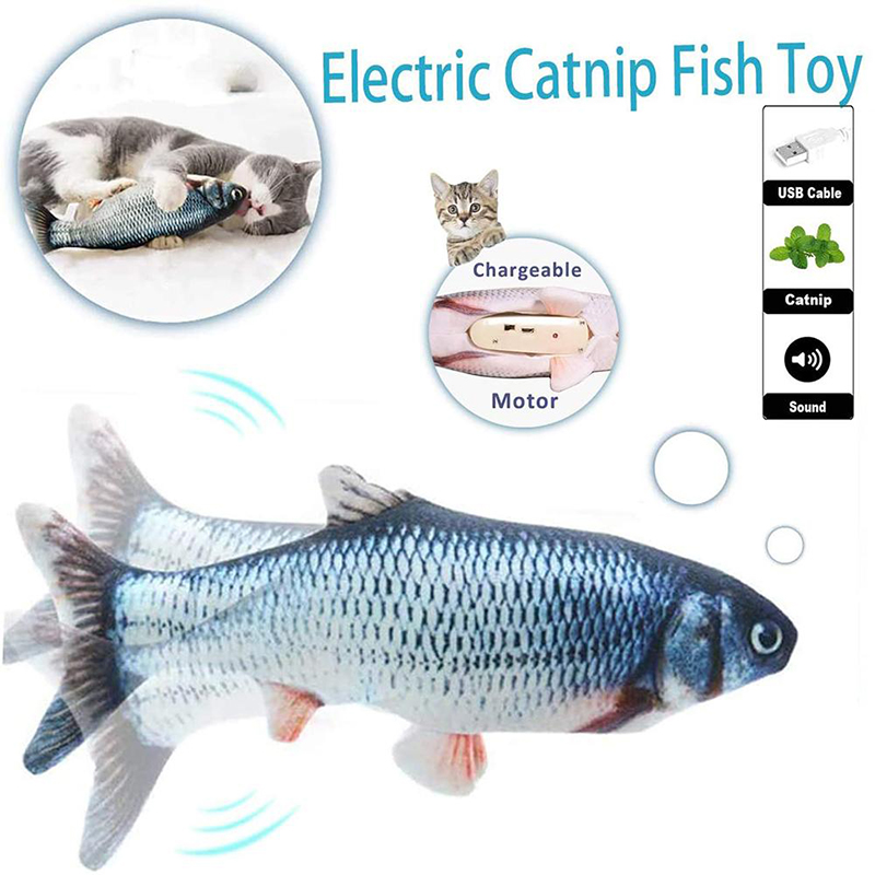 Diagonale Brise Rayonner Chat Achat En Ligne Amazon Location Corse Calvi Com Diagonale Brise Rayonner Chat Achat En Ligne Amazon Location Corse Calvi Com