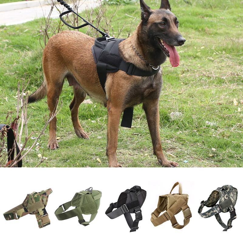 

Dog Harness K9 Walking Adjustable Nylon Pet Dog Collar Vest Bungee Leash Harness For Small Larges Dogs German Shepherd