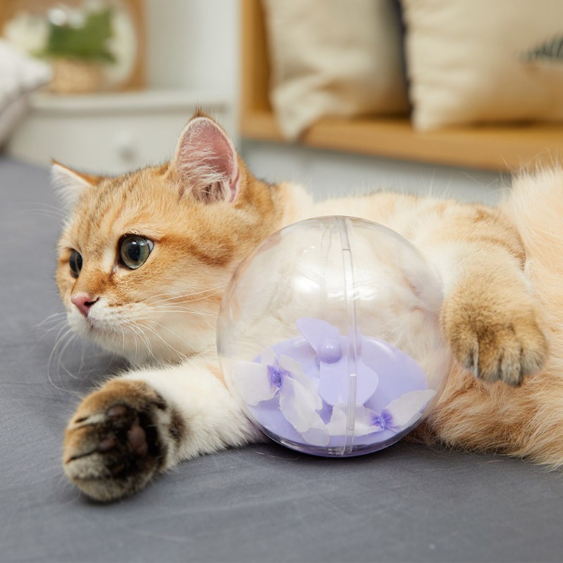 

Pet Automatic Tumbler With Butterfly Electric Plastic Ball Interactive Cat Teaser Toy T200720