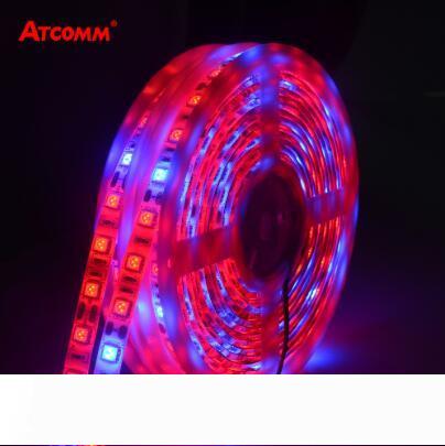 

5 M LED Phyto Lamps Full Spectrum LED Strip Light 300 LEDs 5050 Chip LED Fitolampy Grow Lights For Greenhouse Hydroponic plant