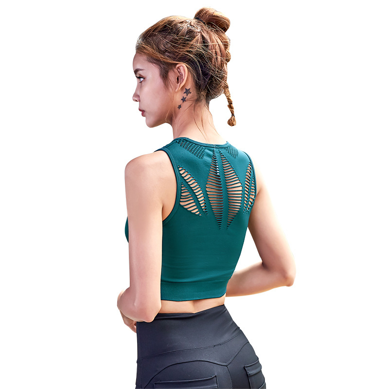 

Breathable Hollow Out Padded Push Up Bra Seamless High Impact Fitness Bra Sports Wear For Women Gym Running Wear, Black