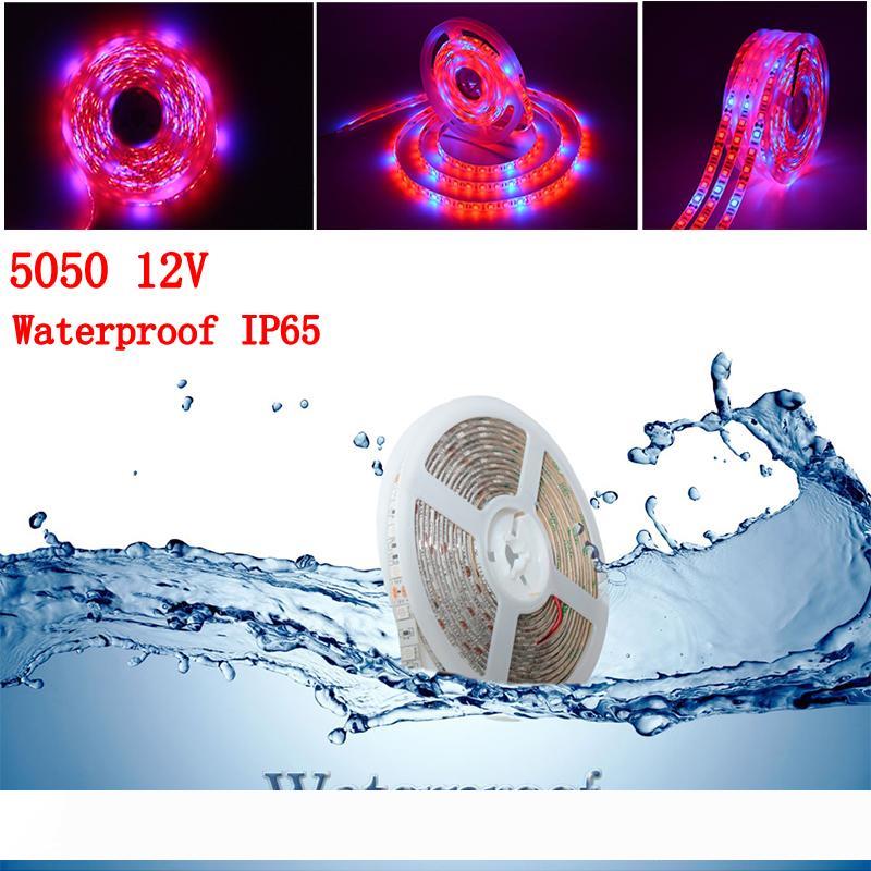 

5M Waterproof led grow light 300LEDs 12V 5050 Chip strip lights 3:1 4:1 5:1 Grow Lights For Greenhouse Hydroponic plant