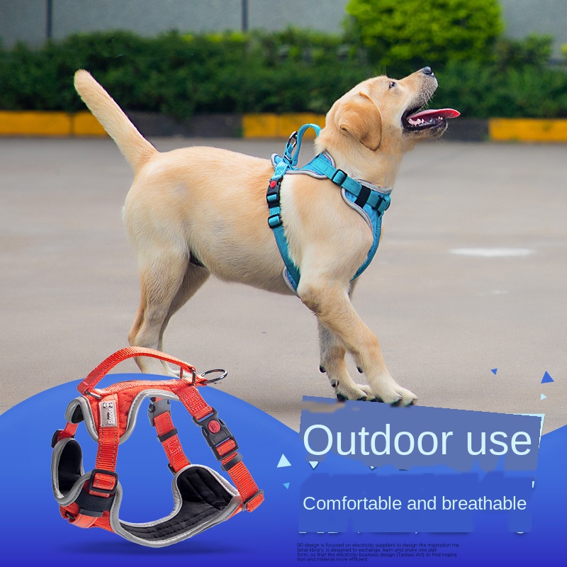 

Pet Harness Pet Supplies Explosion-Proof Breathable Dog Chest Strap Custom