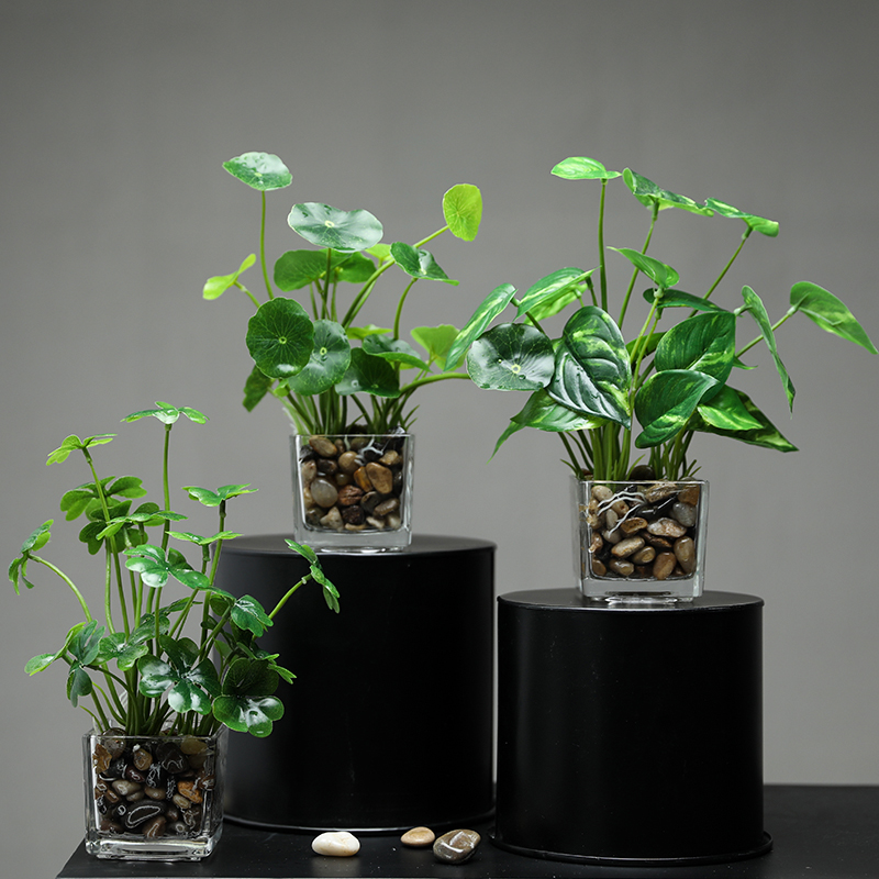 

Green Turtle leaf Artificial Plants with Glass Bonsai Simulation Clover Lucky Grass Potted Office Desktop Home Table Decor