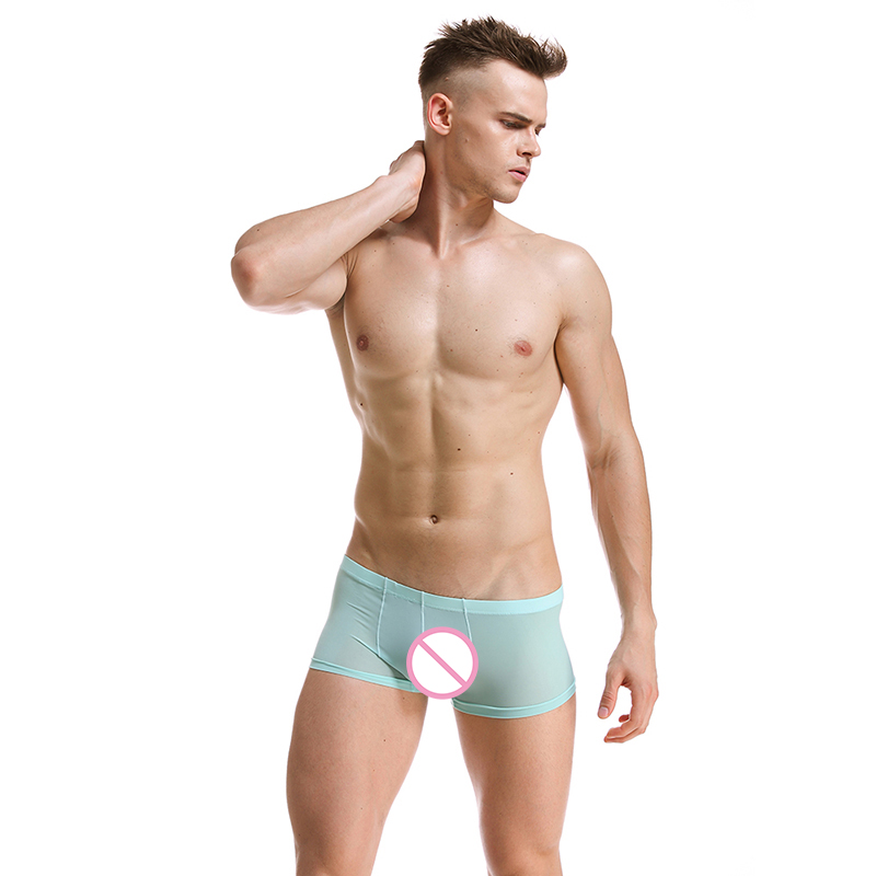 

Ice Silk Boxer Shorts Sexy Mens Underwears Transparent Low Rise Homme Trunks Cuecas Man See Through Underpants, White