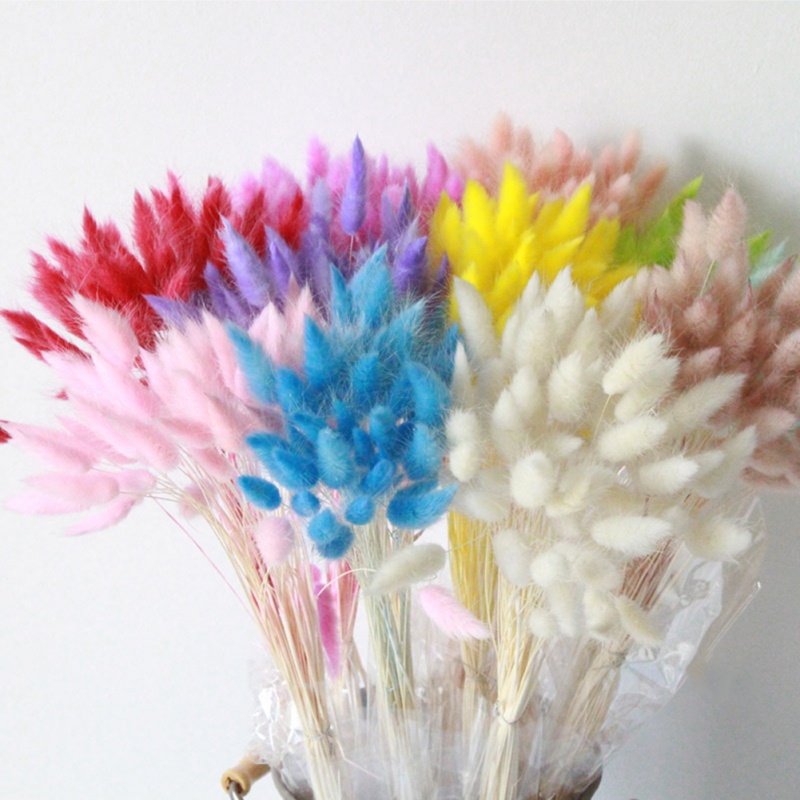 

Home Decoration Flower Arrangement Real Flower Dried Tussock Everlasting Dog Tail Grass Bouquet Shooting Props