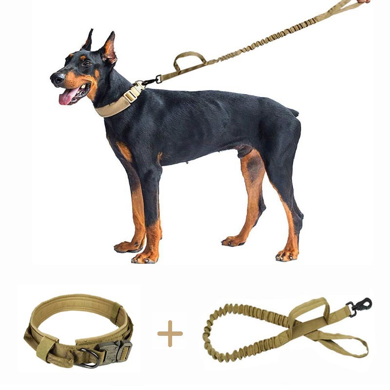 2 handle dog leash