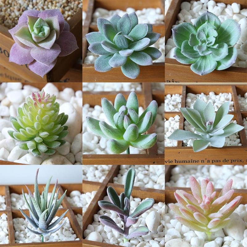 

12pcs Simulation Succulents Flocking Small Fake Plant Artificial Flowers Decoration (12 Random Styles) Without Pot, As pic