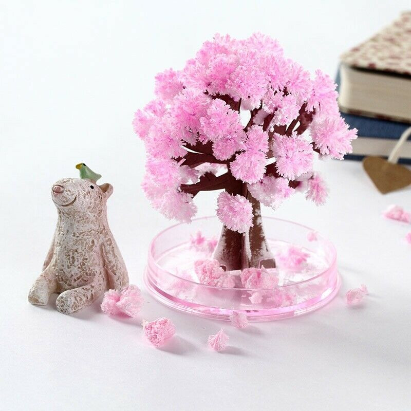

Christmas Gift Paper Tree Magic Growing Tree Toy for Boys Girls Novelty Xmas Gift New Year Kid Toys Xmas Grow Trees Decors