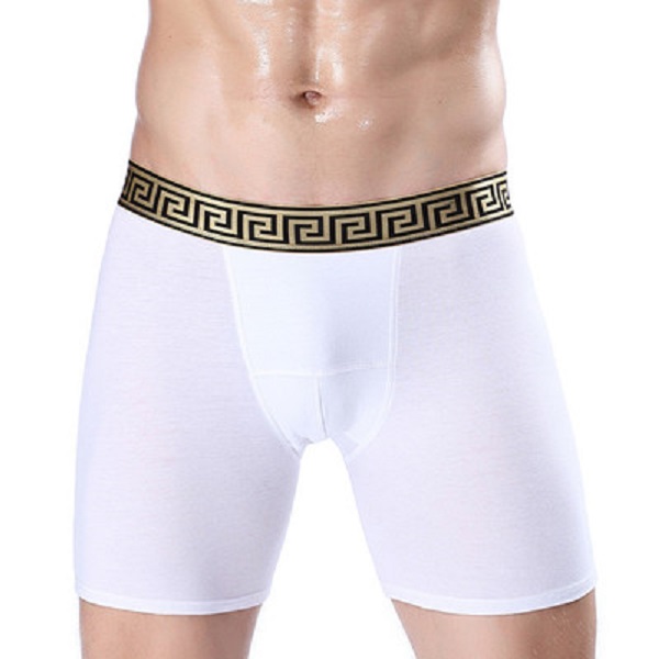 

Fashion Mens Boxers Long Ethika Plus Size Men Underwear Cotton XXXXL Short Boxer Long Boxer Shorts Male Boxer Underpants Underwear Trank, White