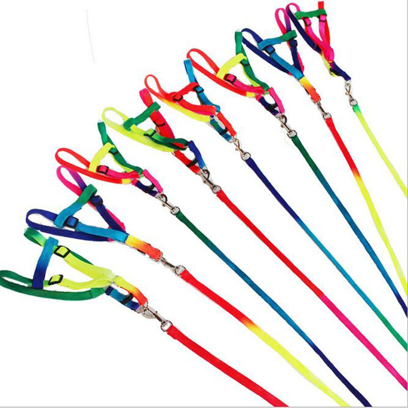 

Rainbow Color Tractional Rope Dogs Collars Leash Pet Supplies Harnesses Dog Necklace Traction Nylon Ropes Walk 2 5my D2