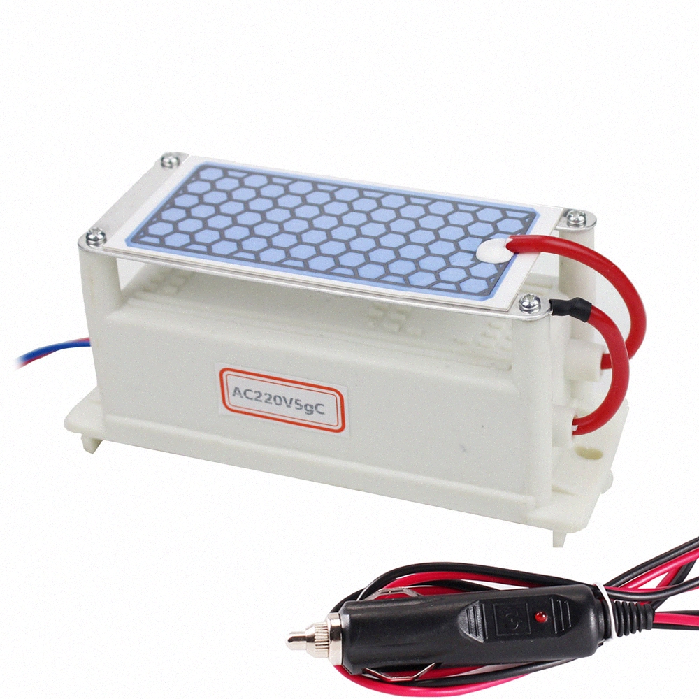 Ozonizzatore di purificatore daria generatore di ozono 18 g piastra di ceramica deodorante e sterilizzatore per la casa 110 V//220 V generatore di ozono integrato