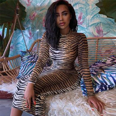 

Womens Leopard Print Dress Womens Sexy Printed Slim Dress 2020 New Casual Autumn Dresses Ladys Party Nightclub Sexy Leopard Skirt, Color3