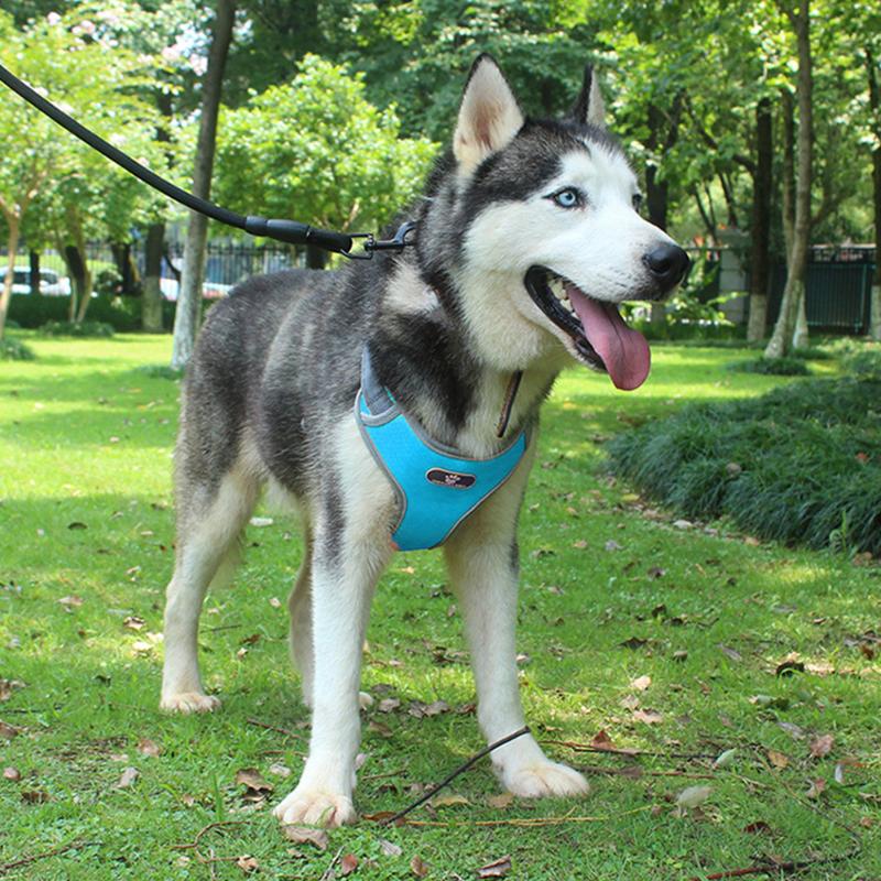 

Safe Durable Chest Strap No Pull Adjustable Size Oxford Cloth Quick Release Universal With Reflective Strips Dog Harness