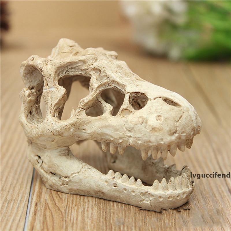 Cráneo de dinosaurio Gemelos